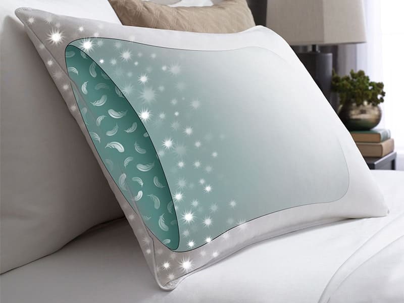 Hotel Touch of Down Pillow