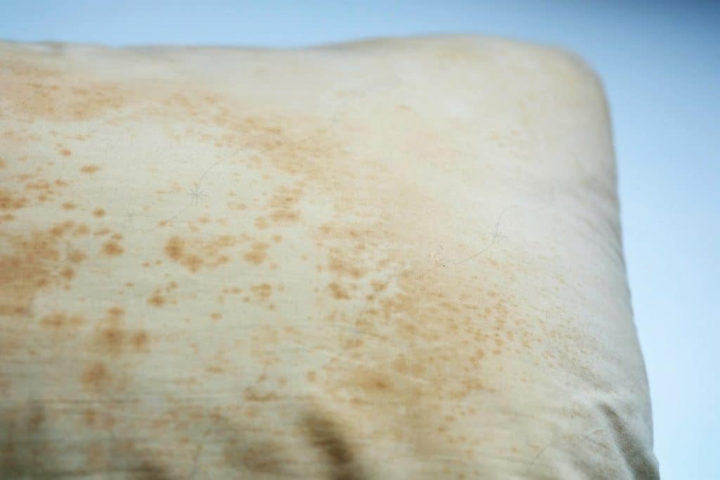 Dust Mites on Pillow