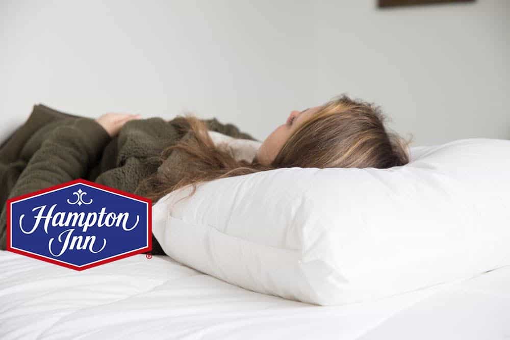 Envirosleep Dream Surrender Standard Pillow Found at Hampton Inn 