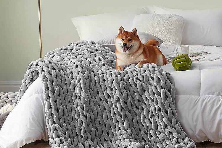 corgi laying on bed with knitted blanket