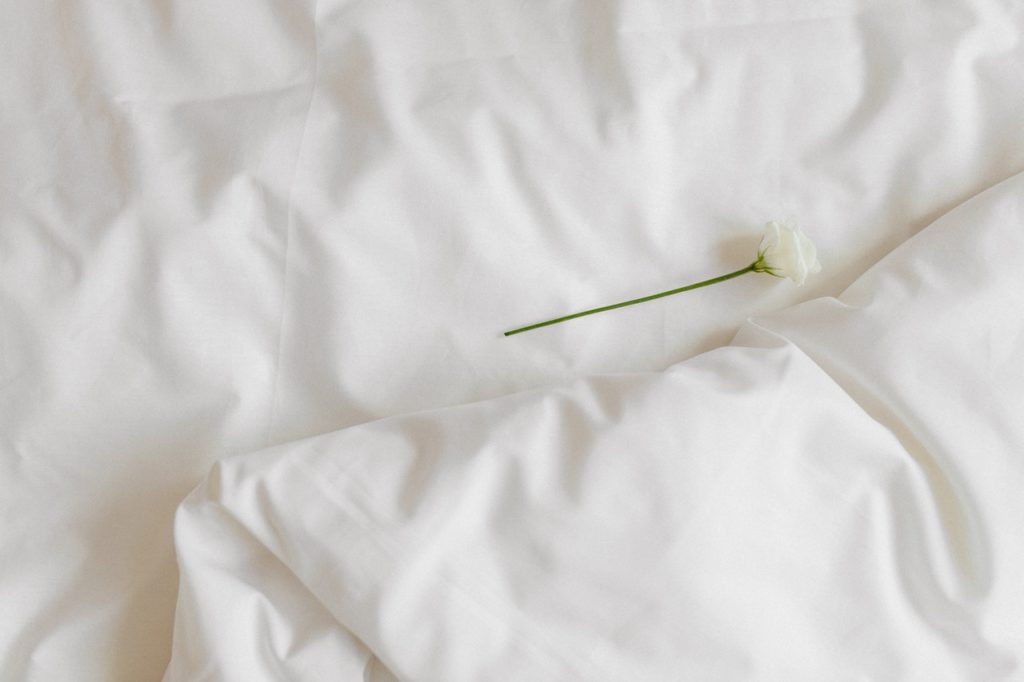 single white flower on white sheets