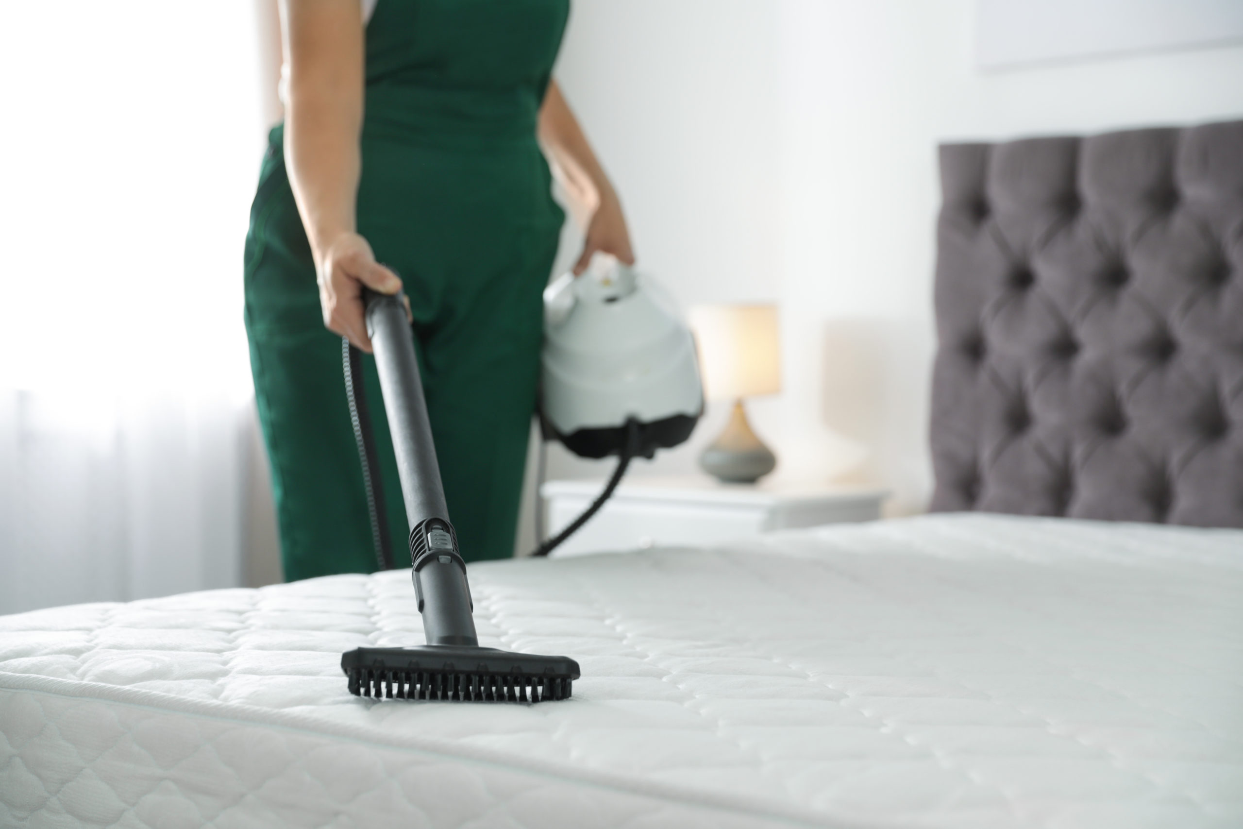 Janitor cleaning mattress with professional equipment in bedroom, closeup